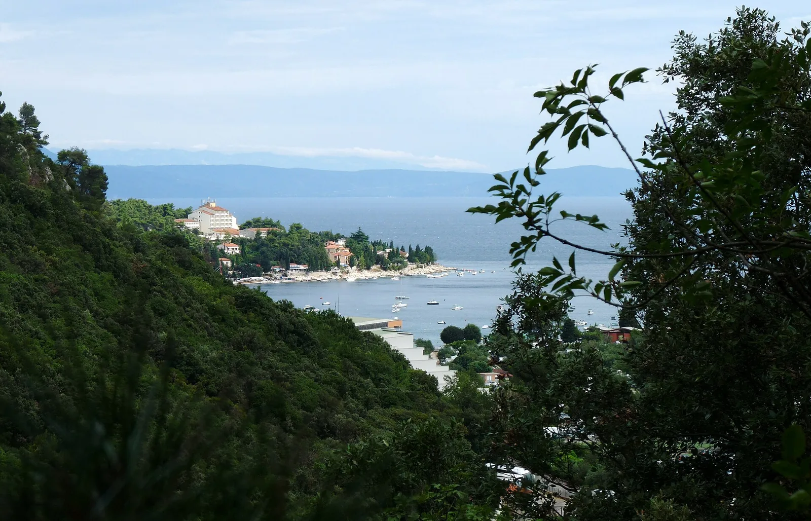The bay of Rabac seen through the trees